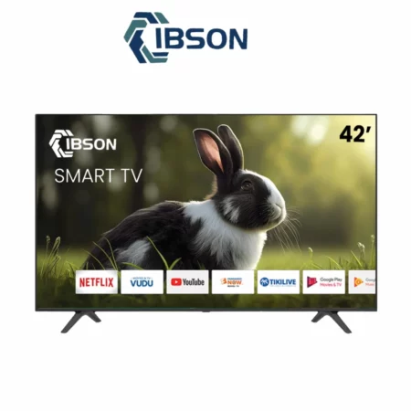 Téléviseur IBSON 42″ Smart Android IB42FT1002S