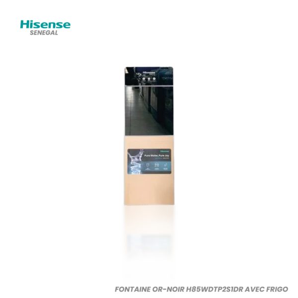 HISENSE FONTAINE OR-NOIR AVEC FRIGO