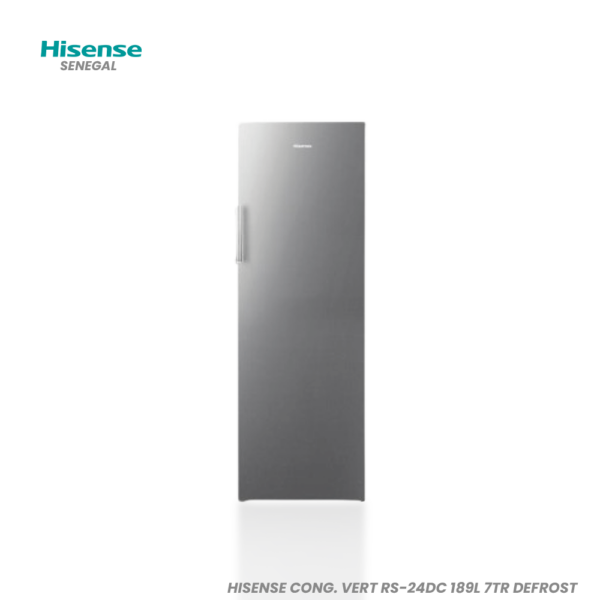 HISENSE CONG RS-24DC 189L