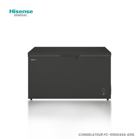HISENSE CONGELATEUR FC-55DD4SA 420L