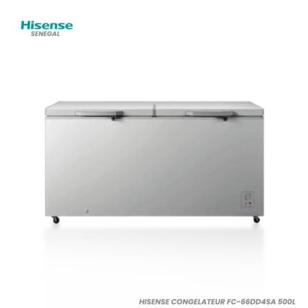 HISENSE CONGELATEUR FC-66DD4SA 500L